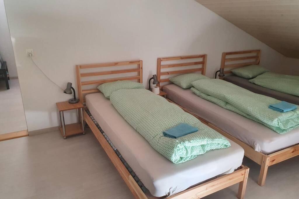 Classy Apartment Interlaken Zewnętrze zdjęcie